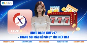 Rồng Bạch Kim 247 - Trang Soi Cầu Xổ Số Uy Tín Hiện Nay