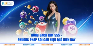 Rồng Bạch Kim 555 - Phương Pháp Soi Cầu Hiệu Quả Hiện Nay